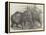 Pigmy Elephants, at the Surrey Zoological Gardens-Harrison William Weir-Framed Premier Image Canvas