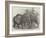 Pigmy Elephants, at the Surrey Zoological Gardens-Harrison William Weir-Framed Giclee Print