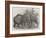 Pigmy Elephants, at the Surrey Zoological Gardens-Harrison William Weir-Framed Giclee Print