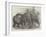 Pigmy Elephants, at the Surrey Zoological Gardens-Harrison William Weir-Framed Giclee Print