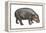 Pigmy Hippopotamus (Hippopotamus Liberiensis), Mammals-Encyclopaedia Britannica-Framed Stretched Canvas