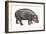 Pigmy Hippopotamus (Hippopotamus Liberiensis), Mammals-Encyclopaedia Britannica-Framed Art Print