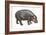 Pigmy Hippopotamus (Hippopotamus Liberiensis), Mammals-Encyclopaedia Britannica-Framed Art Print