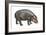 Pigmy Hippopotamus (Hippopotamus Liberiensis), Mammals-Encyclopaedia Britannica-Framed Art Print