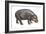 Pigmy Hippopotamus (Hippopotamus Liberiensis), Mammals-Encyclopaedia Britannica-Framed Art Print