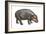 Pigmy Hippopotamus (Hippopotamus Liberiensis), Mammals-Encyclopaedia Britannica-Framed Art Print