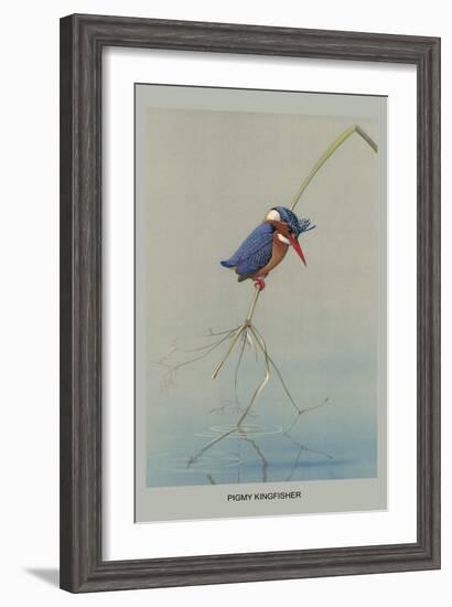 Pigmy Kingfisher-Louis Agassiz Fuertes-Framed Art Print