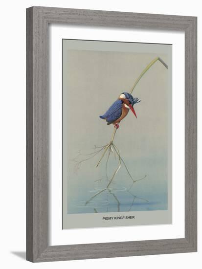 Pigmy Kingfisher-Louis Agassiz Fuertes-Framed Art Print