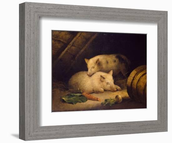 Pigs, 1775-1800 (Oil on Canvas)-George Morland-Framed Giclee Print