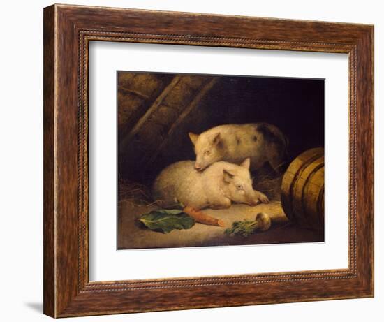 Pigs, 1775-1800 (Oil on Canvas)-George Morland-Framed Giclee Print