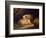 Pigs, 1775-1800 (Oil on Canvas)-George Morland-Framed Giclee Print