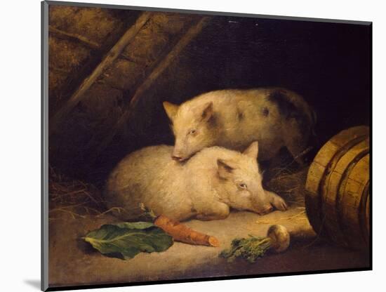 Pigs, 1775-1800 (Oil on Canvas)-George Morland-Mounted Giclee Print