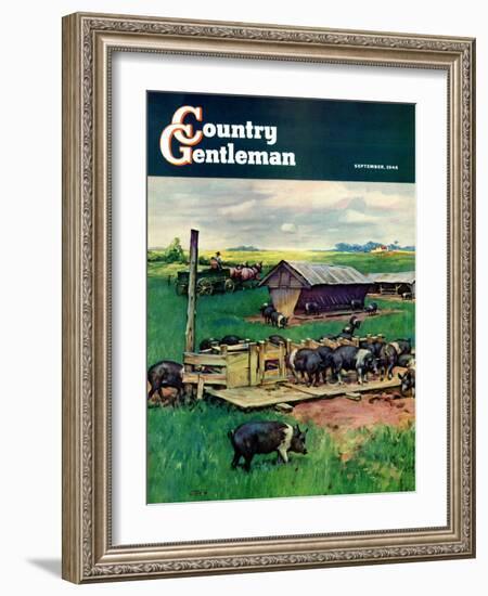 "Pigs Feeding," Country Gentleman Cover, September 1, 1946-Matt Clark-Framed Giclee Print