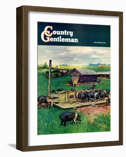 "Pigs Feeding," Country Gentleman Cover, September 1, 1946-Matt Clark-Framed Giclee Print