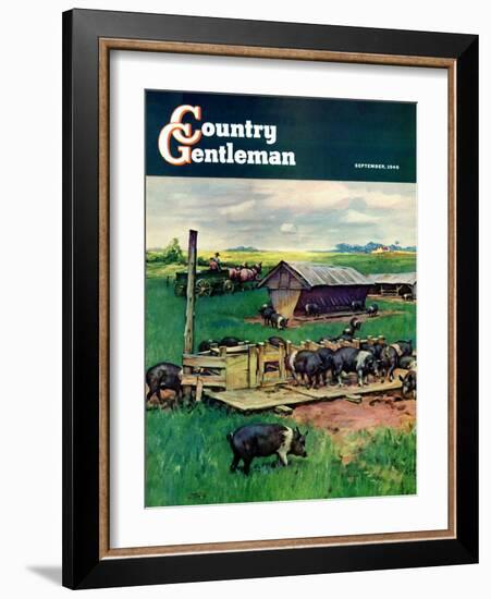 "Pigs Feeding," Country Gentleman Cover, September 1, 1946-Matt Clark-Framed Giclee Print