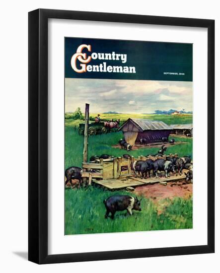 "Pigs Feeding," Country Gentleman Cover, September 1, 1946-Matt Clark-Framed Giclee Print