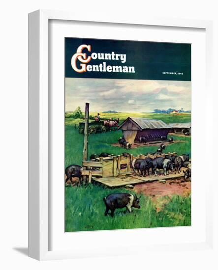 "Pigs Feeding," Country Gentleman Cover, September 1, 1946-Matt Clark-Framed Giclee Print