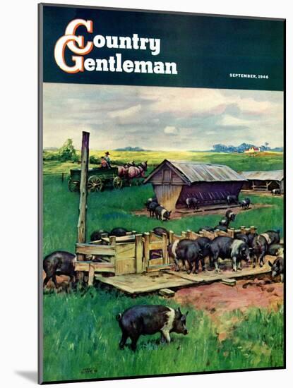 "Pigs Feeding," Country Gentleman Cover, September 1, 1946-Matt Clark-Mounted Giclee Print
