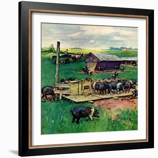 "Pigs Feeding,"September 1, 1946-Matt Clark-Framed Giclee Print