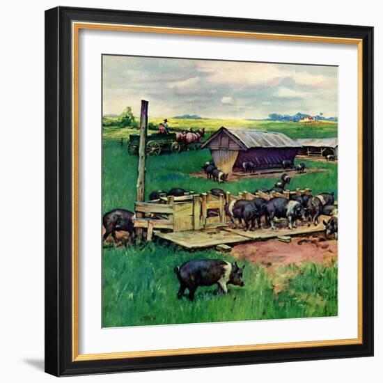 "Pigs Feeding,"September 1, 1946-Matt Clark-Framed Giclee Print