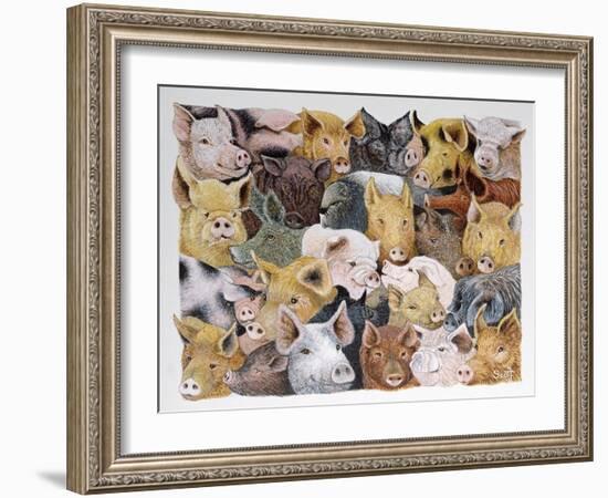 Pigs Galore-Pat Scott-Framed Giclee Print