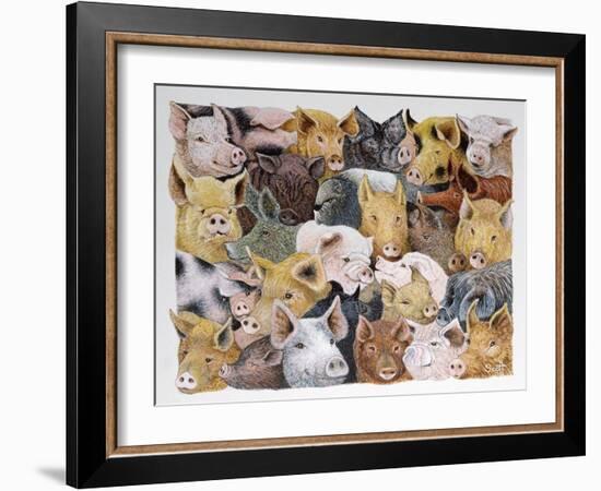 Pigs Galore-Pat Scott-Framed Giclee Print