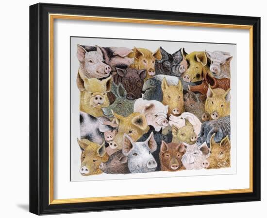 Pigs Galore-Pat Scott-Framed Giclee Print