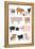 Pigs in Glasses-Hanna Melin-Framed Stretched Canvas