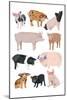 Pigs in Glasses-Hanna Melin-Mounted Art Print