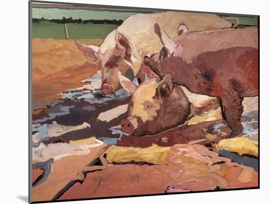 Pigs in Sunlight and Mud, 1981-Peter Wilson-Mounted Giclee Print