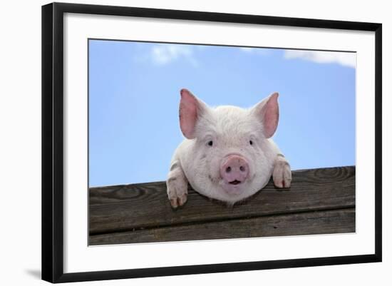 Photographic Print, , large