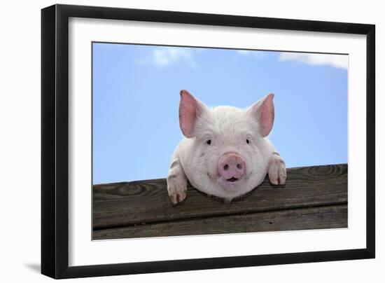Photographic Print, , large
