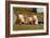 Pigs Piglets X Three Peering over Wall-null-Framed Photographic Print