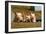 Pigs Piglets X Three Peering over Wall-null-Framed Photographic Print