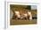 Pigs Piglets X Three Peering over Wall-null-Framed Photographic Print