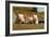 Pigs Piglets X Three Peering over Wall-null-Framed Photographic Print