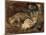 Pigsty, Nursery; Schweinekoben, Wochenstube, 1887 (Oil on Board)-Max Liebermann-Mounted Giclee Print