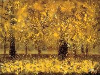 Golden Age-Pihua Hsu-Stretched Canvas