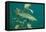 Pike (Esox Lucius), Bavaria, Germany, Europe.-Reinhard Dirscherl-Framed Premier Image Canvas