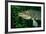 Pike Head (Esox Lucius).-Reinhard Dirscherl-Framed Photographic Print