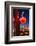 Pike Place Market at Christmastime. Seattle, Washington, USA-Michele Benoy Westmorland-Framed Photographic Print