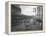 Pike Place Market, Seattle, WA, 1931-Ashael Curtis-Framed Premier Image Canvas