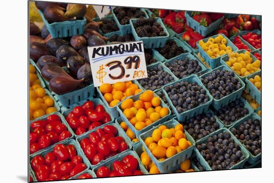 Pike Place Market Signs, Seattle, Washington, USA-Jamie & Judy Wild-Mounted Photographic Print