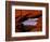 Pike's Peak Framed Through a Rock Window, Colorado, USA-Jerry Ginsberg-Framed Photographic Print