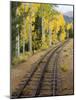 Pikes Peak Cog Railway, Manitou Springs, Colorado Springs, Colorado, USA-Cindy Miller Hopkins-Mounted Photographic Print