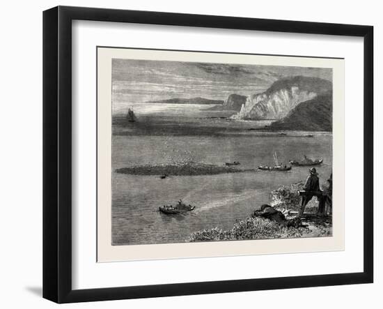 Pilchard Fishing of the Lizard, the South Coast, UK, 19th Century-null-Framed Giclee Print