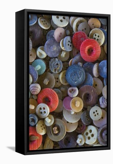 Pile of antique buttons-Mallorie Ostrowitz-Framed Premier Image Canvas