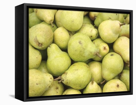 Pile of Pears-null-Framed Premier Image Canvas