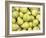 Pile of Pears-null-Framed Photographic Print