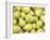 Pile of Pears-null-Framed Photographic Print